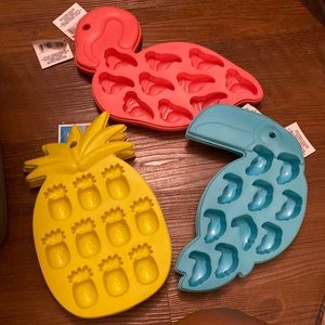 Ice/ Food Trays READ DESCRIPTION